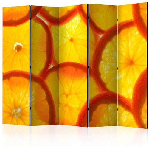  Paravan u 5 dijelova - Orange slices II [Room Dividers] 225x172 Slike