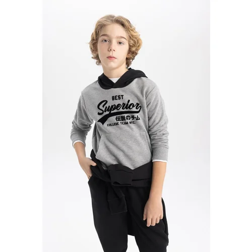 Defacto Boy&#39;s Printed Hooded Thick Sweatshirt