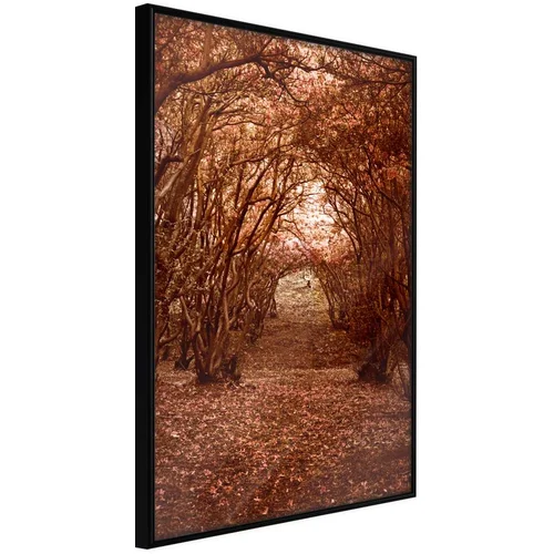  Poster - Quiet Path 30x45