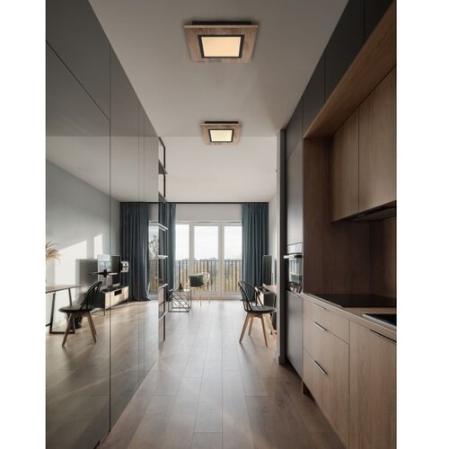 Globo 67292D2 - LED plafonsko svetlo LEA LED/12W/230V Cene