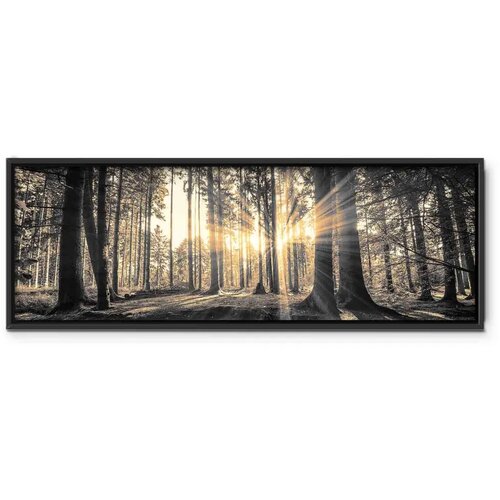  Slika - Forest Sun 90x30 U crnom drvenom okviru Slike