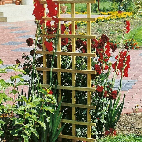 x rešetkasta ograda za biljke penjačice pravokutna (bez okvira, š v: 60 180 cm)