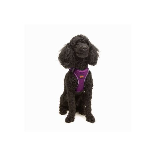 Paws & Whiskers Am za pse Air Mesh Purple 2XS Cene