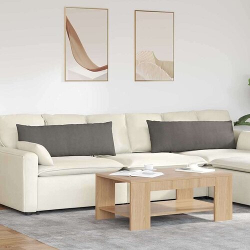 vidaXL Blazine za kavč 2 pcs Svetlo siva 120 x 40 cm Žametna tkanina Cene