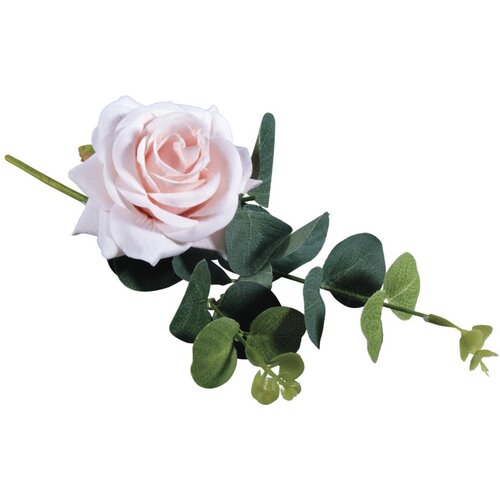 RAYHER Vrtnica z evkaliptusom, roza, 28cm, (20634022) Cene
