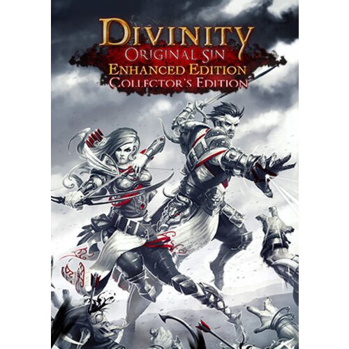  divinity: original sin - enhanced edition collector's edition (pc) gog key global Cene