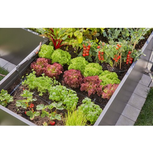  Micro-Drip-System set za navodnjavanje kap po kap podignuta gredica/gredica (35 biljaka) micro-drip sustav kompletan set za navodnjavanje 13 mm (1/2&amp;#039;&amp;#039;) &amp;Oslash; 13455-20 Slike