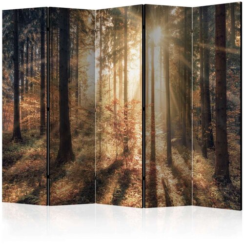  Paravan u 5 dijelova - Autumnal Forest II [Room Dividers] 225x172 Slike
