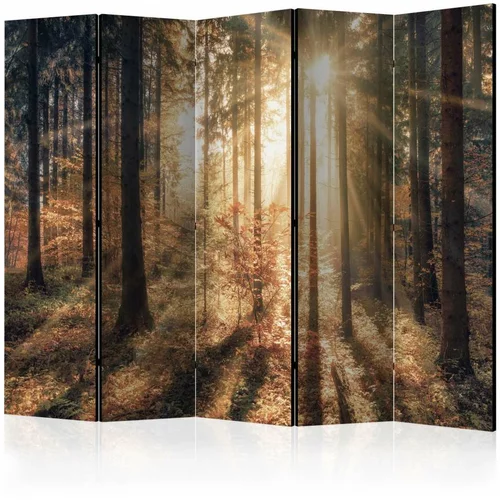  Paravan u 5 dijelova - Autumnal Forest II [Room Dividers] 225x172