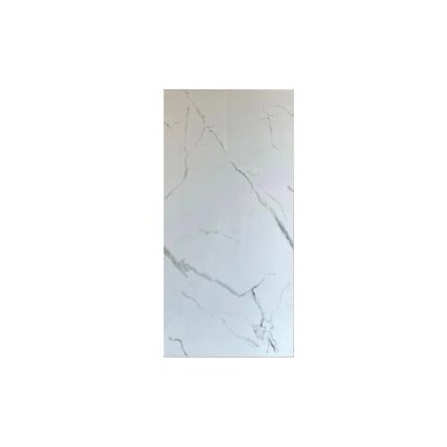  Pločica ker.Bianco versaille 60x120cm rect. I kl BC Cene