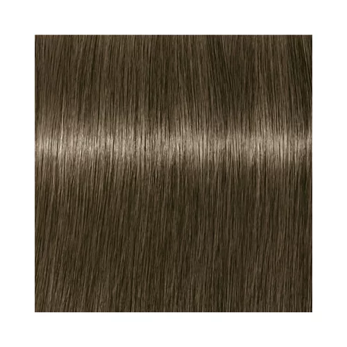 Schwarzkopf IGORA Royal boja za kosu nijansa 7-13 Medium Blonde 60 ml