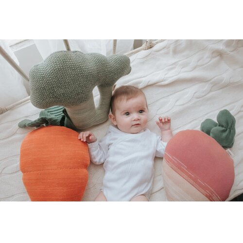 Lorena Canals Blazina - Ramona the Radish Slike