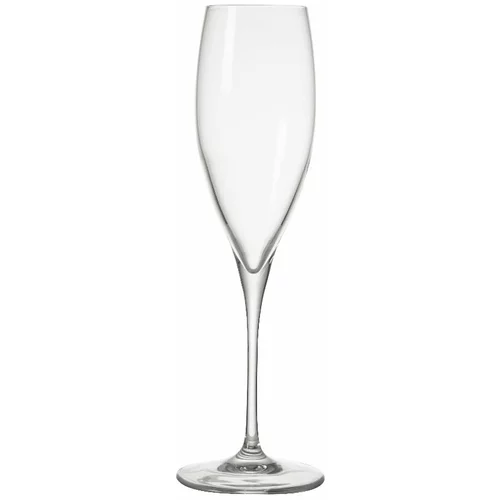 Brandani čaša za šampanjac Oblio