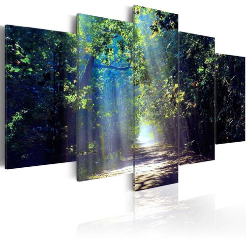  Slika - Sunny Forest Path 100x50 Slike