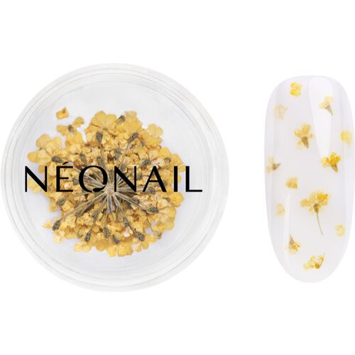 NeoNail Dried Flowers sušen cvet za nohte odtenek 07 Yellow 1 kos Cene