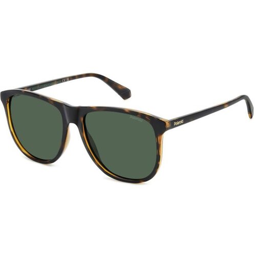 Polaroid PLD4178/S 086/UC Polarized L (58) Havana/Zelena Cene