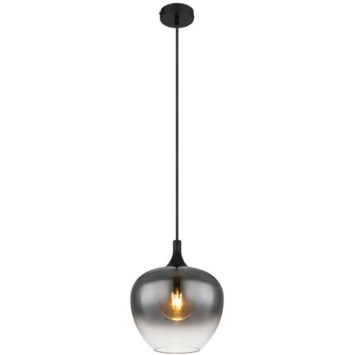 Globo 15548H - Luster na sajli MAXY 1xE27/40W/230V prečnika 24 cm crna Cene