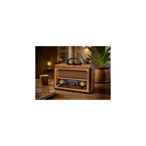  RX-BT89 retro prenosni radio z Bluetoothom, FM, USB, SD in TWS funkcijo Cene