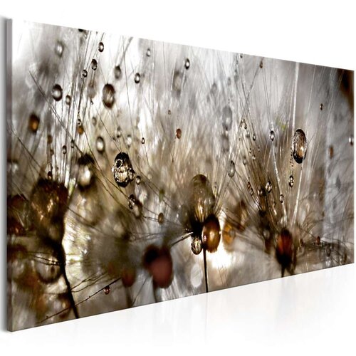  Slika - Drops of Water 120x40 Slike
