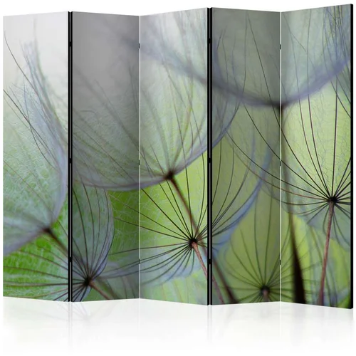  Paravan u 5 dijelova - Fleeting moments II [Room Dividers] 225x172