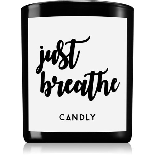 Candly & Co. Just Breathe dišeča sveča 250 g Cene