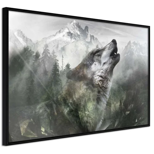  Poster - Wolf's Territory 60x40