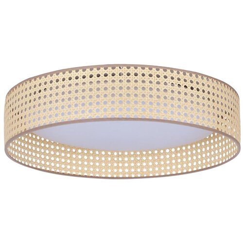  Duolla - LED plafonsko svetlo ROLLER LED/24W/230V Ø 45 cm ratan Cene