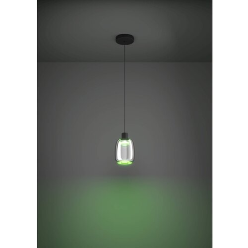 Eglo 901119 - led rgbw prigu&amp;scaron;iva luster na sajli molochio-z LED/3,7W/230V crna Slike