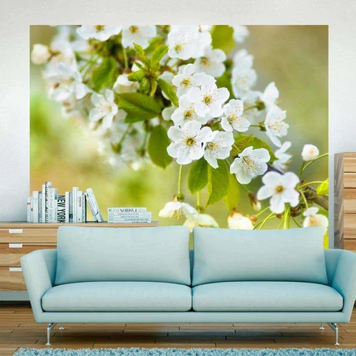  tapeta - Beautiful delicate cherry blossoms 250x193