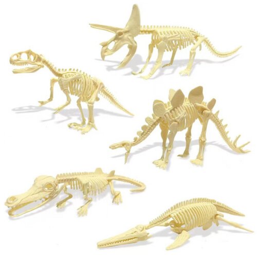  Archaeology Set Dinosaur Egg Fossils Slike
