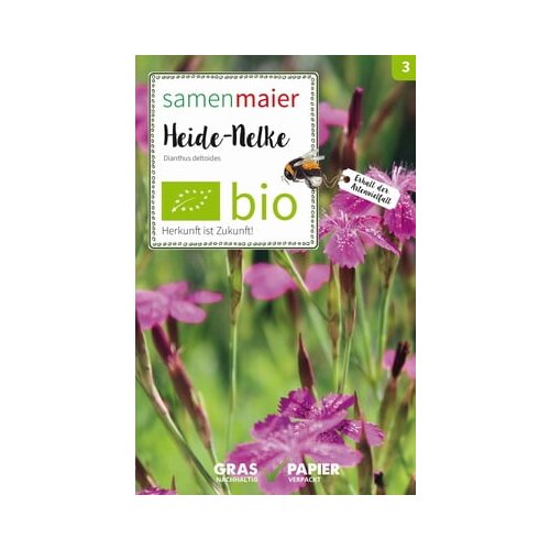 Samen Maier Binko&amp;scaron;tni nagelj-divja cvetlica Slike