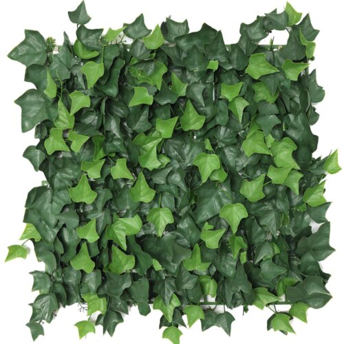 TGC Zeleni zid brsljen UV 50x50cm Cene