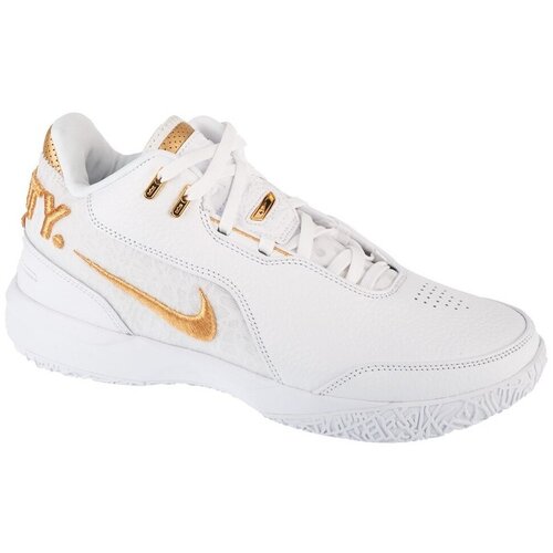 Nike Lebron Nxxt Gen sarena Cijene