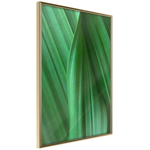  Poster - Leaf Structure 40x60 Slike