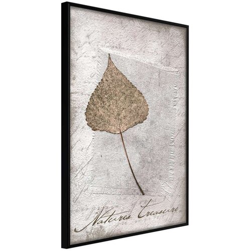  Poster - Dried Leaf 20x30 Cijene
