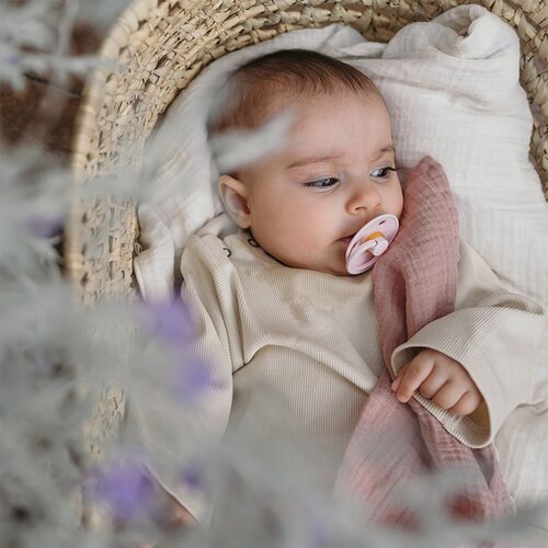 Bibs Colour Natural Rubber Size 1: 0+ months duda Haze / Blossom 2 kos Slike