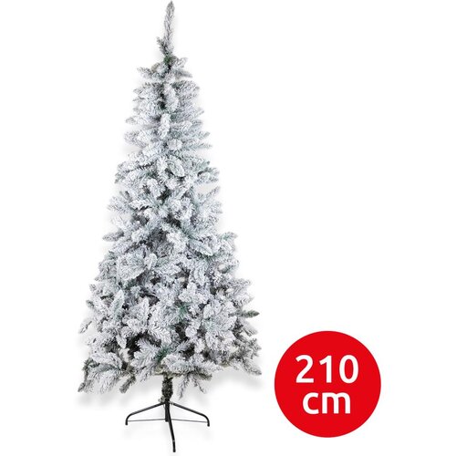  Božićna jelka SCOTLAND 210 cm &amp;ndash; jela Slike