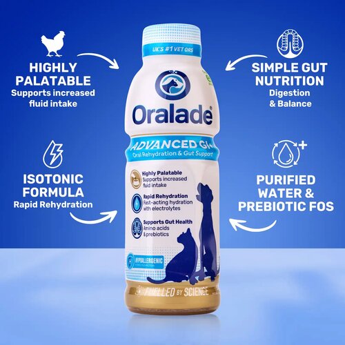 ORALADE Advanced GI+ izotonični napitak za pse i mačke, ukus piletine Slike