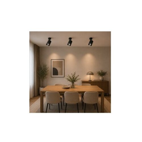 HOME LIGHT Talia 106 Spot lampa crna Slike