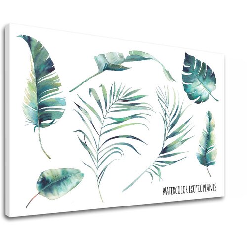 Slike na platnu sa tekstom watercolor exotic plants (moderne) Slike