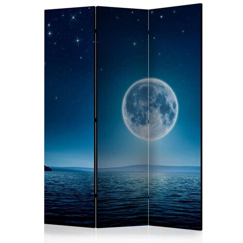  Paravan u 3 dijela - Moonlit night [Room Dividers] 135x172 Slike