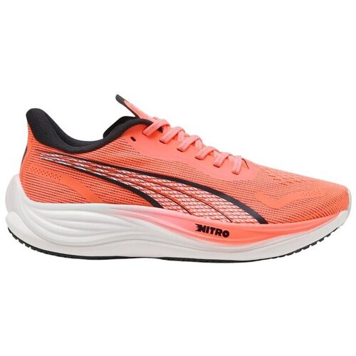 Puma Tek & Trail Velocity Nitro 3 pisana Cene
