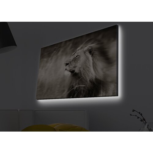 Opviq slika na platnu sa LED osvetljenjem 45x70cm Cene