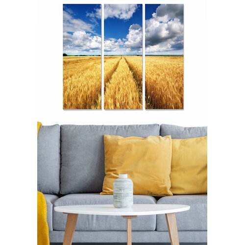 Wallity Set slika MDF97333904, 3 dijela Cene