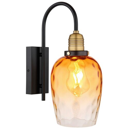 Globo Salvy Zidna svjetiljka (60 W, Ø x V: 15 x 35 cm, Crna, Jantar) Cijene