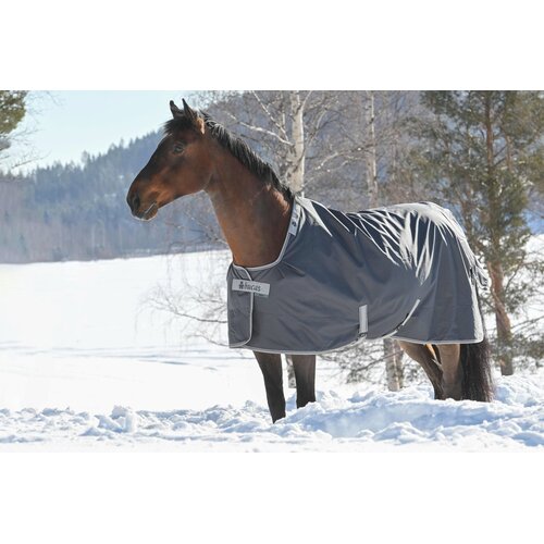  Pregrinjalo Smartex Extra iron gate, 300 g - 140 cm Cene