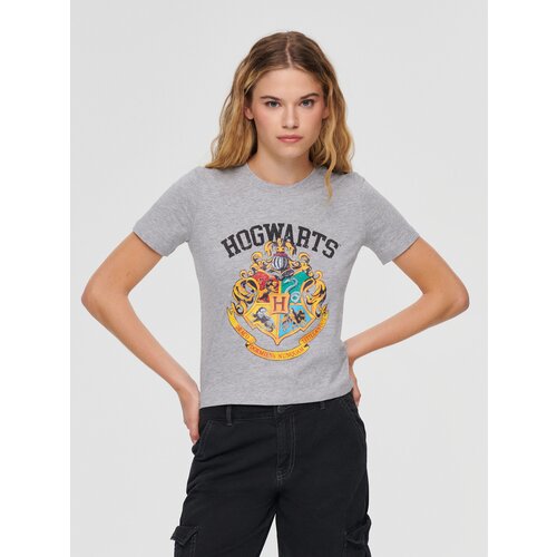 House - Loose fit majica kratkih rukava Harry Potter - Svijetlo siva Slike