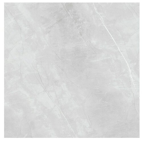  Porculanska pločica Aquila XXL (120 x 120 cm, Sive boje, Sjaj) Cijene