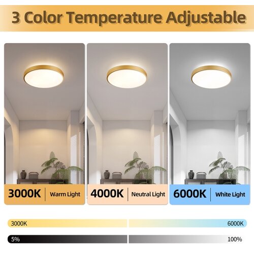  Brilagi - LED prigu&amp;scaron;iva svetiljka GLASS POOL DOUBLE LED/48W/230V 40 cm zlatna + daljinski upravljač Slike