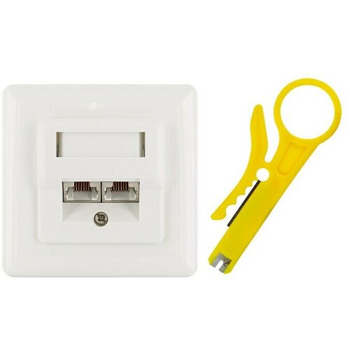 SCHWAIGER Mrežna utičnica (Nadžbukno, Bijele boje, RJ45 utičnica) Slike